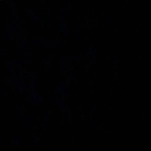 Meet your Posher, Jared